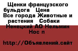 Щенки французского бульдога › Цена ­ 30 000 - Все города Животные и растения » Собаки   . Ненецкий АО,Нельмин Нос п.